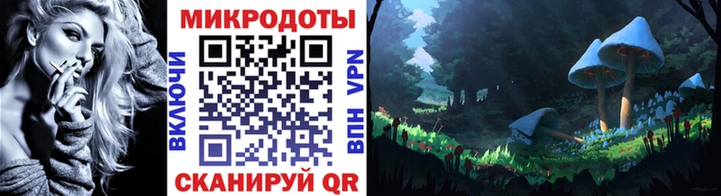 Галлюциногенные грибы Psilocybe  Колпашево 